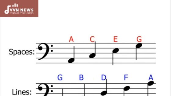 Bass Clef [Understanding This Essential Music Symbol]