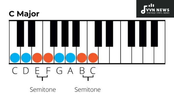 How Do Tones and Semitones Contribute to Musical Scales