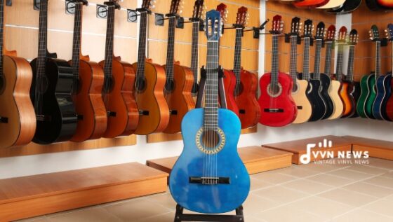 Types Of Acoustic Guitars