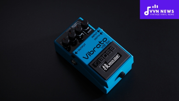 Best Vibrato Pedals: BOSS Waza Craft VB-2W