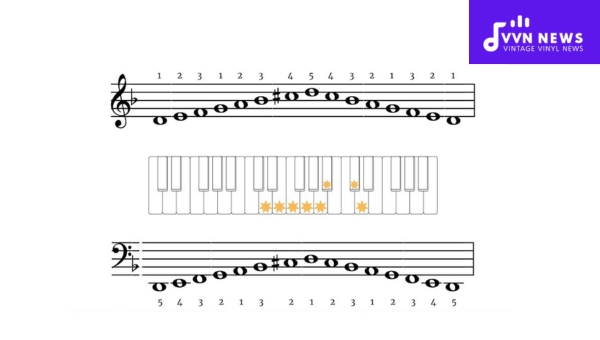 Intervals in the D Harmonic Minor Scale