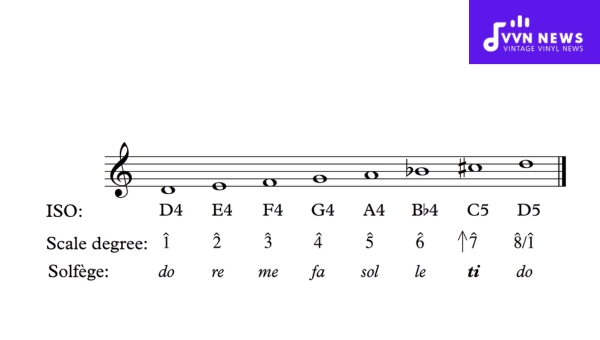 Scale Degrees of D Harmonic Minor