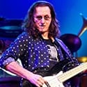 The Top 10 Bassists of All Time | LedgerNote