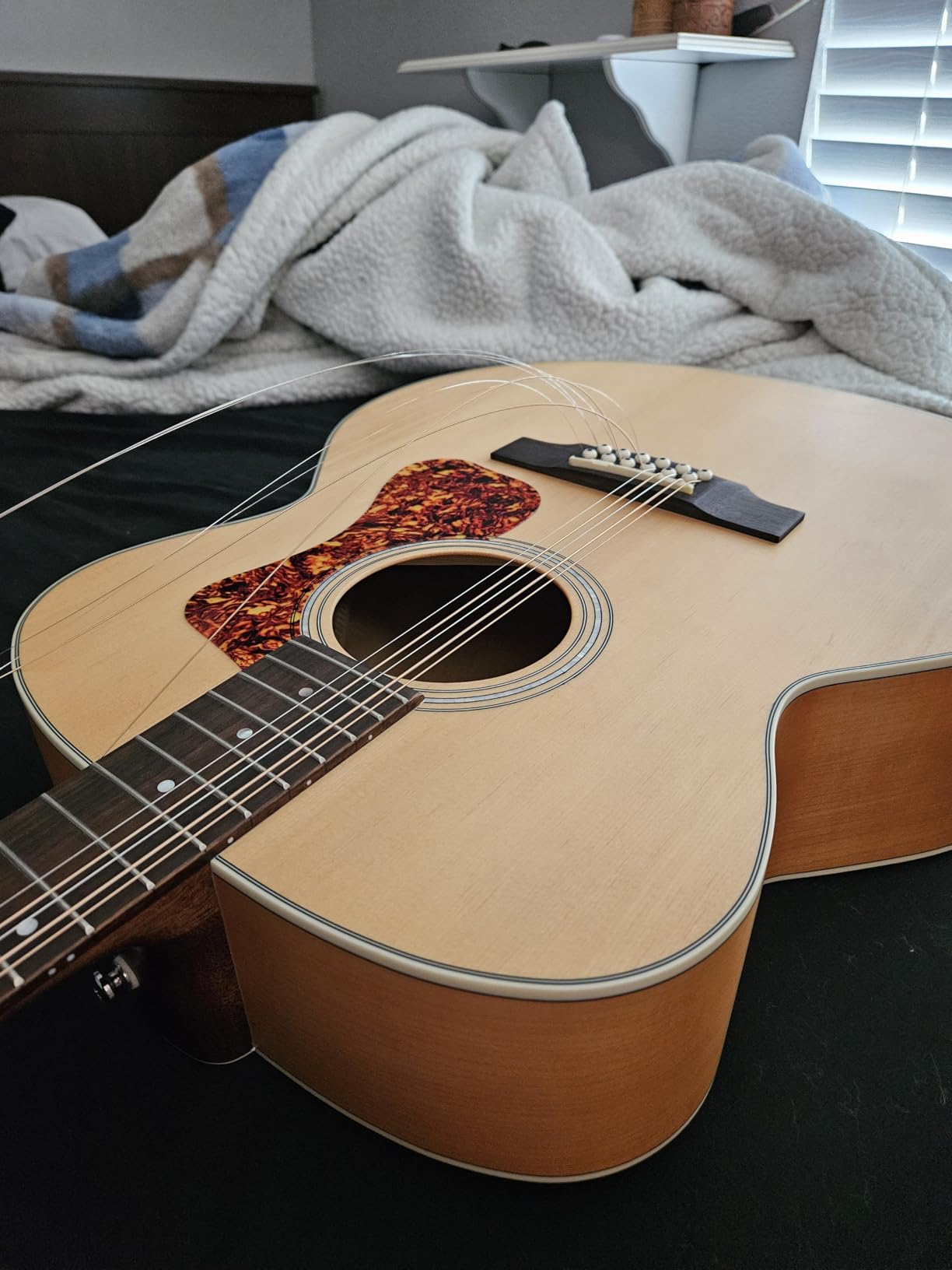 Ernie Ball Earthwood Medium Light Phosphor Bronze Acoustic Guitar Strings, 12-54 Gauge (P02146) Customer Review Ernie Ball Earthwood Medium Light Phosphor Bronze Acoustic Guitar Strings, 12-54 Gauge (P02146) - Customer Photo 2