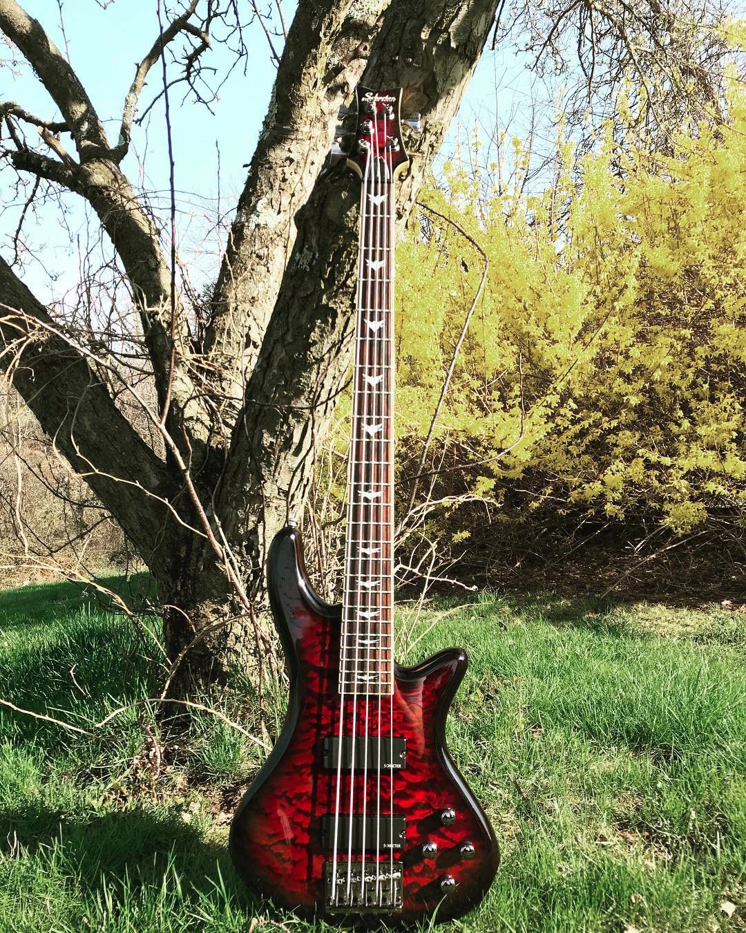 DR Strings - Hi-Beams - Bass Guitar Strings 4-String Set - Medium 45-105 - Stainless Steel Round Core - Bass Guitar Accessories (MR-45) - Customer Photo 2