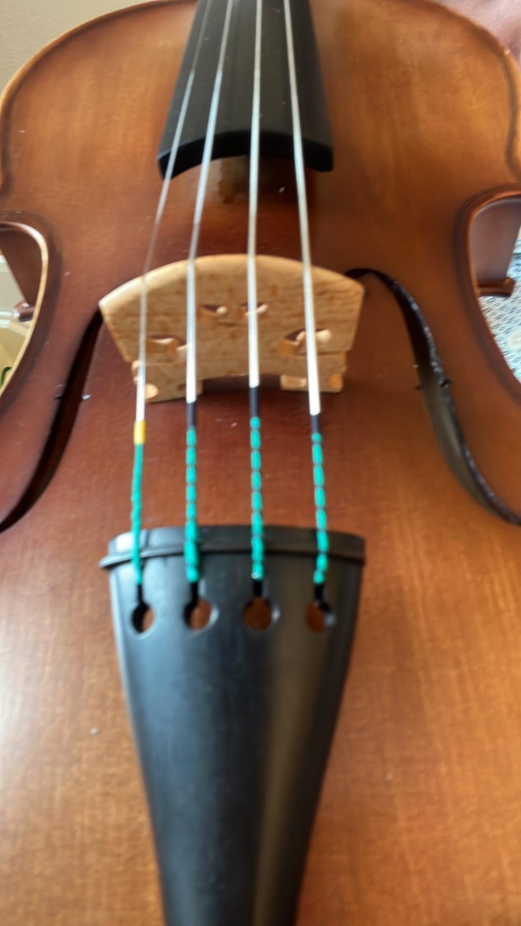 Pirastro Evah Pirazzi 4/4 Violin String Set - Medium Gauge - Steel Ball-End E Customer Review Pirastro Evah Pirazzi 4/4 Violin String Set - Medium Gauge - Steel Ball-End E - Customer Photo 1