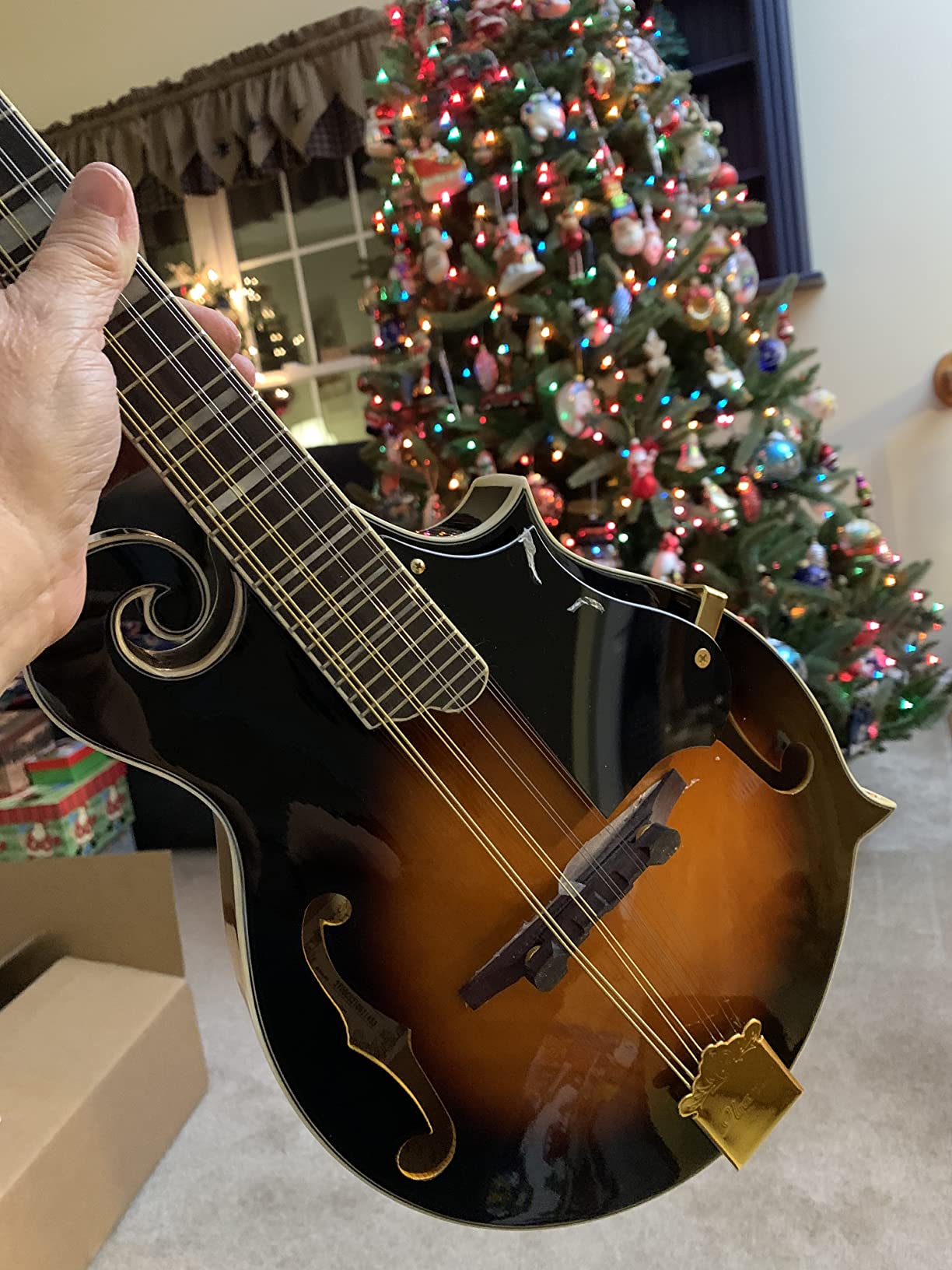 Ibanez M522S Mandolin - Brown Sunburst High Gloss - Customer Photo 1