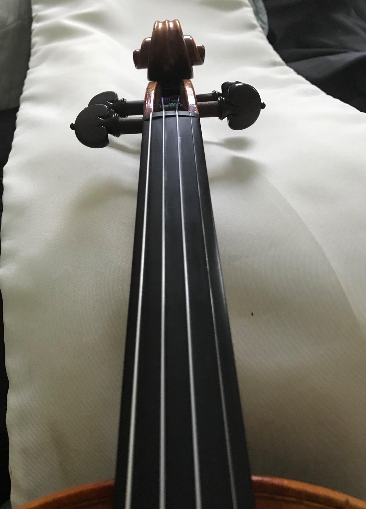 JSI Special 4/4 Violin String Set: Gold Label Ball-End E & Dominant A, D, and G Strings - Medium Gauge Customer Review JSI Special 4/4 Violin String Set: Gold Label Ball-End E & Dominant A, D, and G Strings - Medium Gauge - Customer Photo 3
