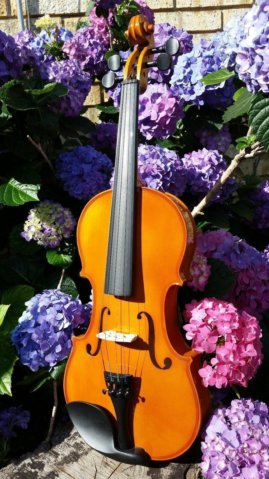 Mendini by Cecilio Violin 4/4 Full Size Kit For Beginners - Hand Carved Acoustic Violins Set - Fiddle Solid Wood Kit with Hard Case, Bow, Rosin, Shoulder Rest, Bridge and Extra Strings Customer Review Mendini by Cecilio Violin 4/4 Full Size Kit For Beginners - Hand Carved Acoustic Violins Set - Fiddle Solid Wood Kit with Hard Case, Bow, Rosin, Shoulder Rest, Bridge and Extra Strings - Customer Photo 2