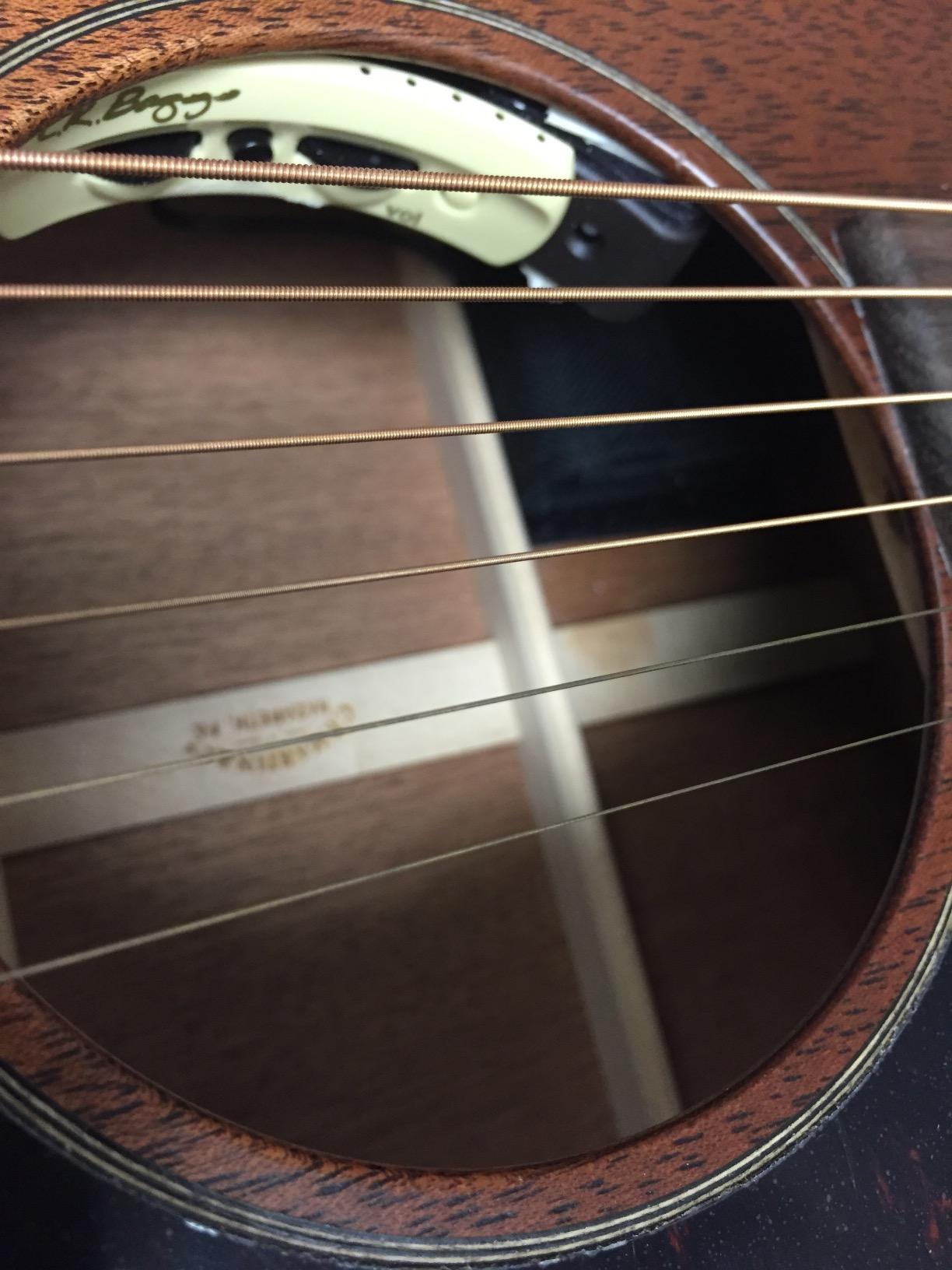 L.R. Baggs Anthem Acoustic Guitar Pickup and Microphone Customer Review L.R. Baggs Anthem Acoustic Guitar Pickup and Microphone - Customer Photo 2