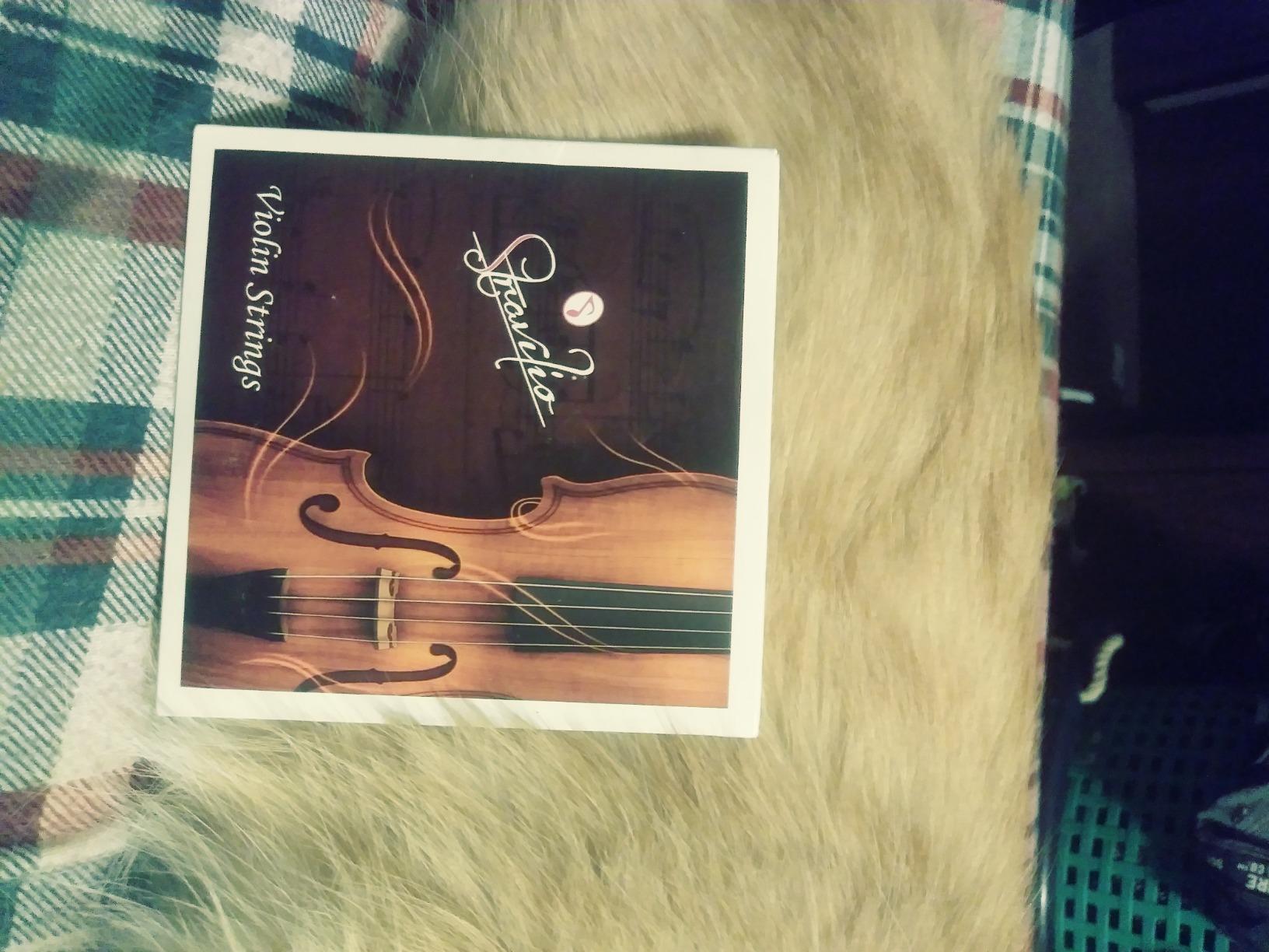 Top Race 4/4 & 3/4 Violin Strings Replacement - Bronze Violin Strings Full Set - Violin String w/Ball Ends - Long-Lasting Silver-Wound Steel Strings - Warm Tone, Flexible - For All Levels Customer Review Top Race 4/4 & 3/4 Violin Strings Replacement - Bronze Violin Strings Full Set - Violin String w/Ball Ends - Long-Lasting Silver-Wound Steel Strings - Warm Tone, Flexible - For All Levels - Customer Photo 1