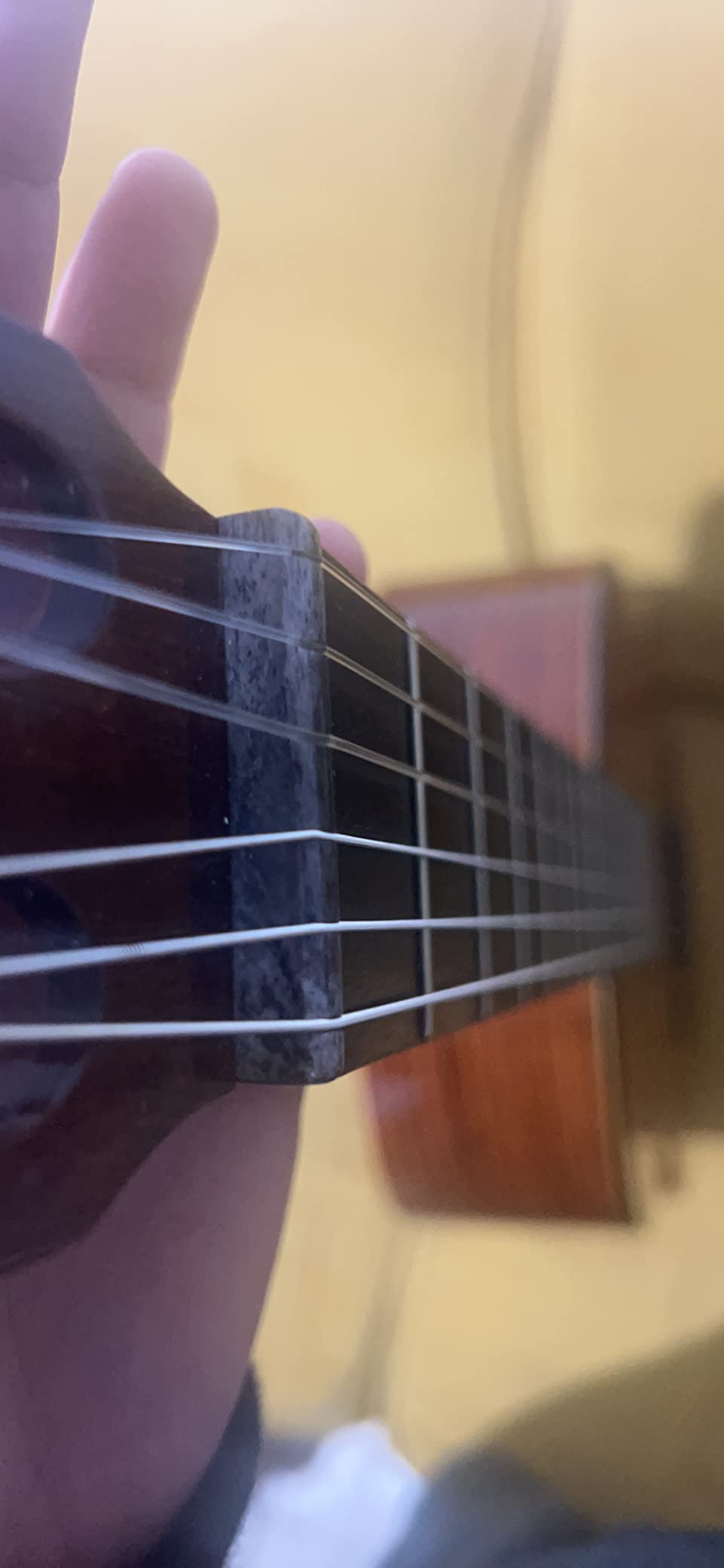 Augustine Strings Classic Black - Low Tension Classical Guitar Strings - The Original Nylon String - 1 Set Customer Review Augustine Strings Classic Black - Low Tension Classical Guitar Strings - The Original Nylon String - 1 Set - Customer Photo 2