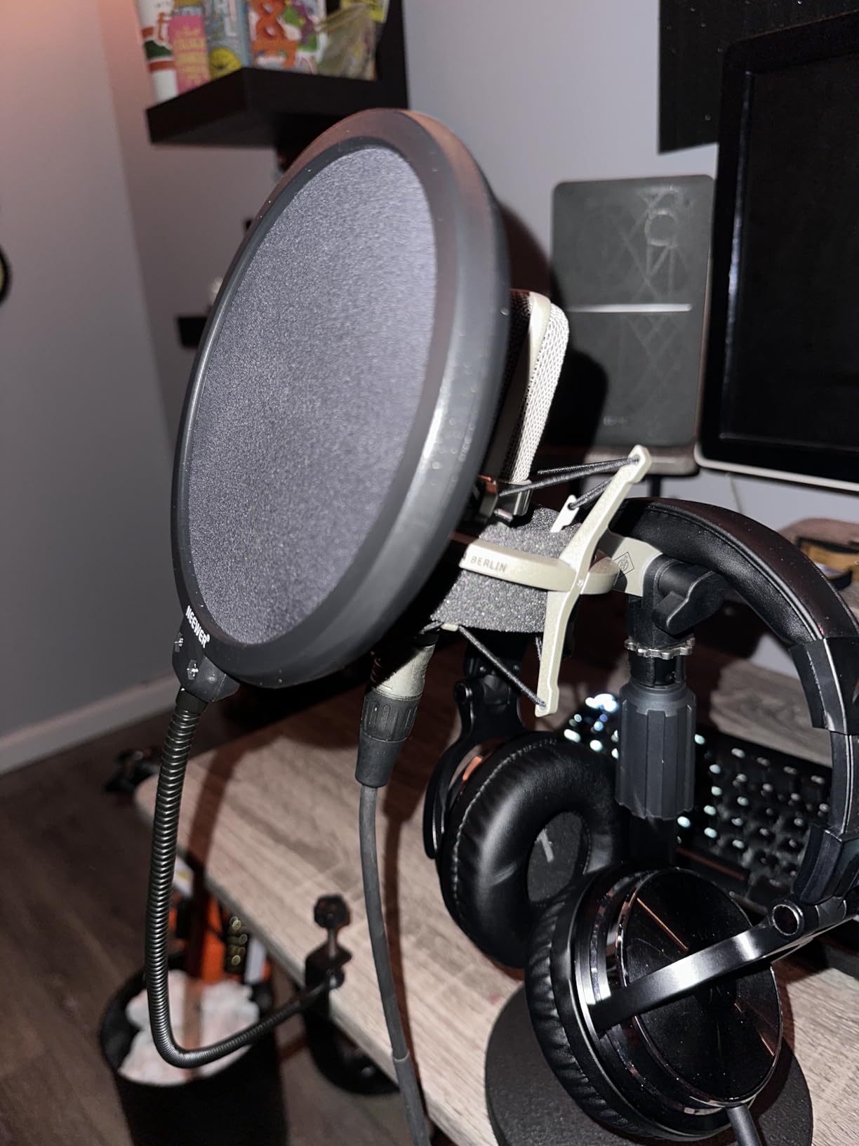 Neewer Professional Microphone Pop Filter Shield Compatible with Blue Yeti and Any Other Microphone, Dual Layered Wind Pop Screen With A Flexible 360 Degree Gooseneck Clip Stabilizing Arm Customer Review Neewer Professional Microphone Pop Filter Shield Compatible with Blue Yeti and Any Other Microphone, Dual Layered Wind Pop Screen With A Flexible 360 Degree Gooseneck Clip Stabilizing Arm - Customer Photo 1