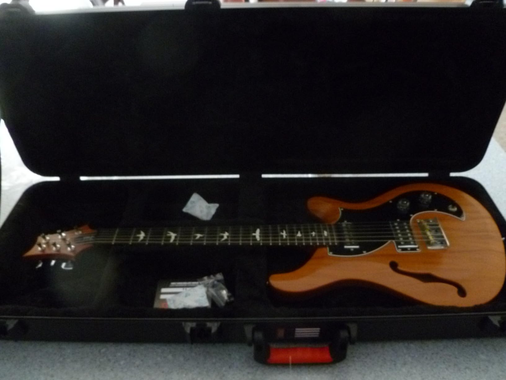 Gator Cases Molded Flight Case For Acoustic Dreadnought Guitars With TSA Approved Locking Latches, (GTSA-GTRDREAD) Customer Review Gator Cases Molded Flight Case For Acoustic Dreadnought Guitars With TSA Approved Locking Latches, (GTSA-GTRDREAD) - Customer Photo 2
