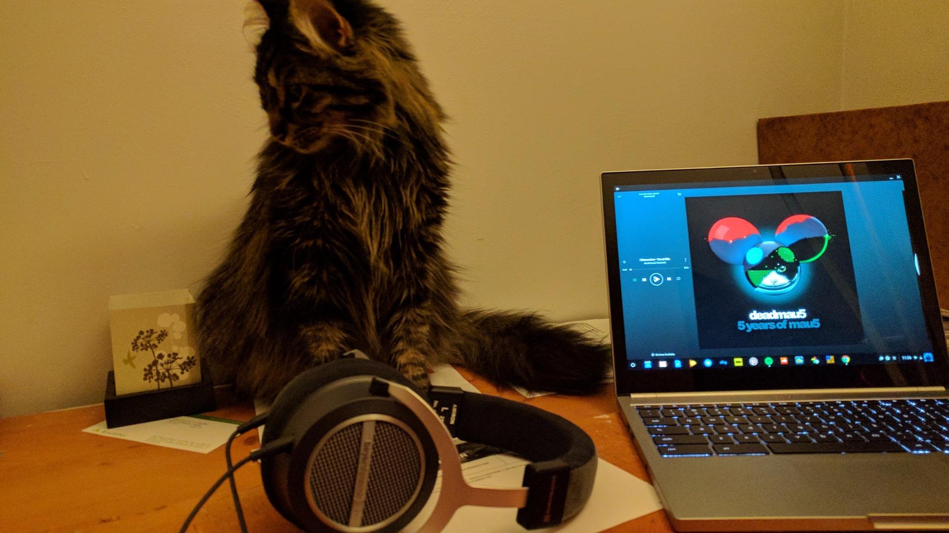 beyerdynamic Amiron home high-end stereo headphone Customer Review beyerdynamic Amiron home high-end stereo headphone - Customer Photo 1