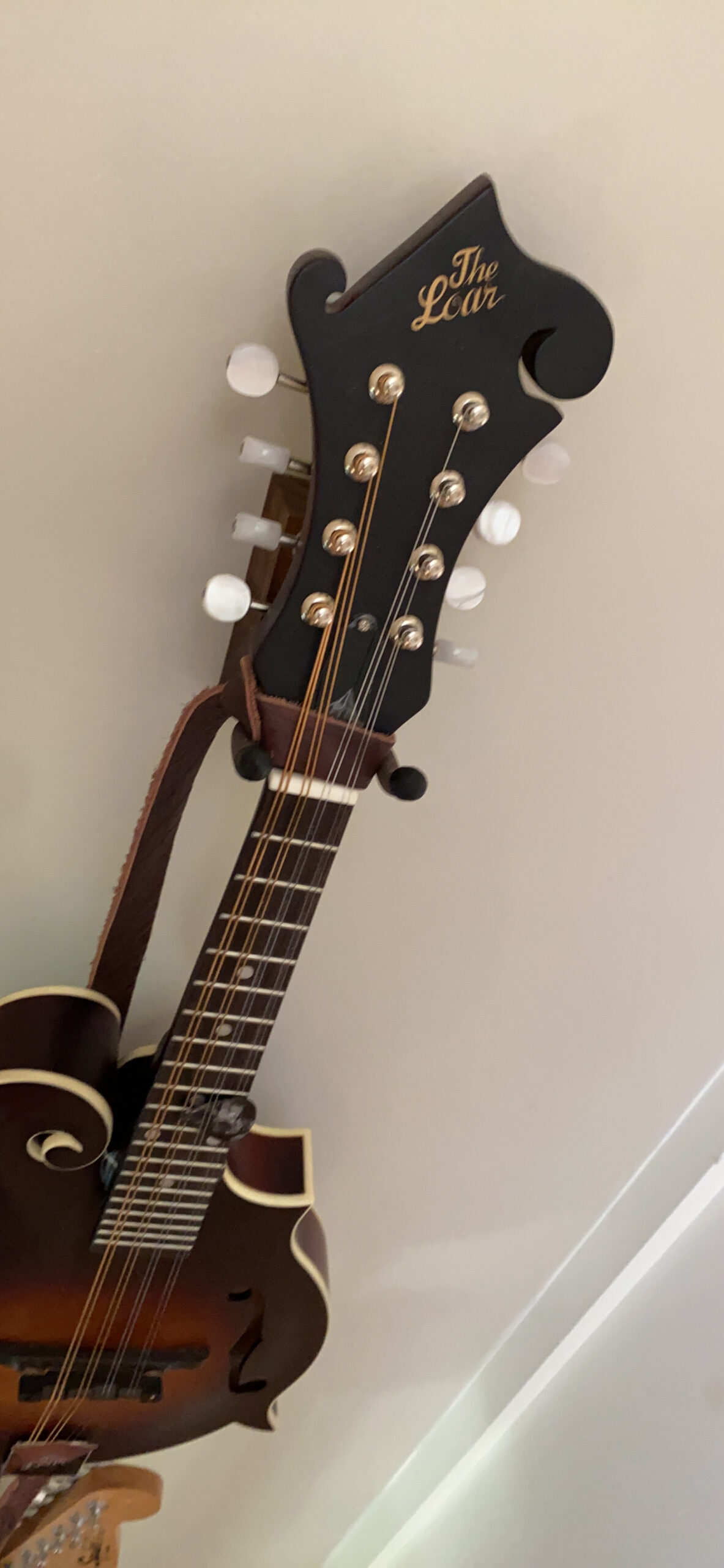 The Loar LM-310F-BRB Honey Creek F-Style Mandolin - Customer Photo 2