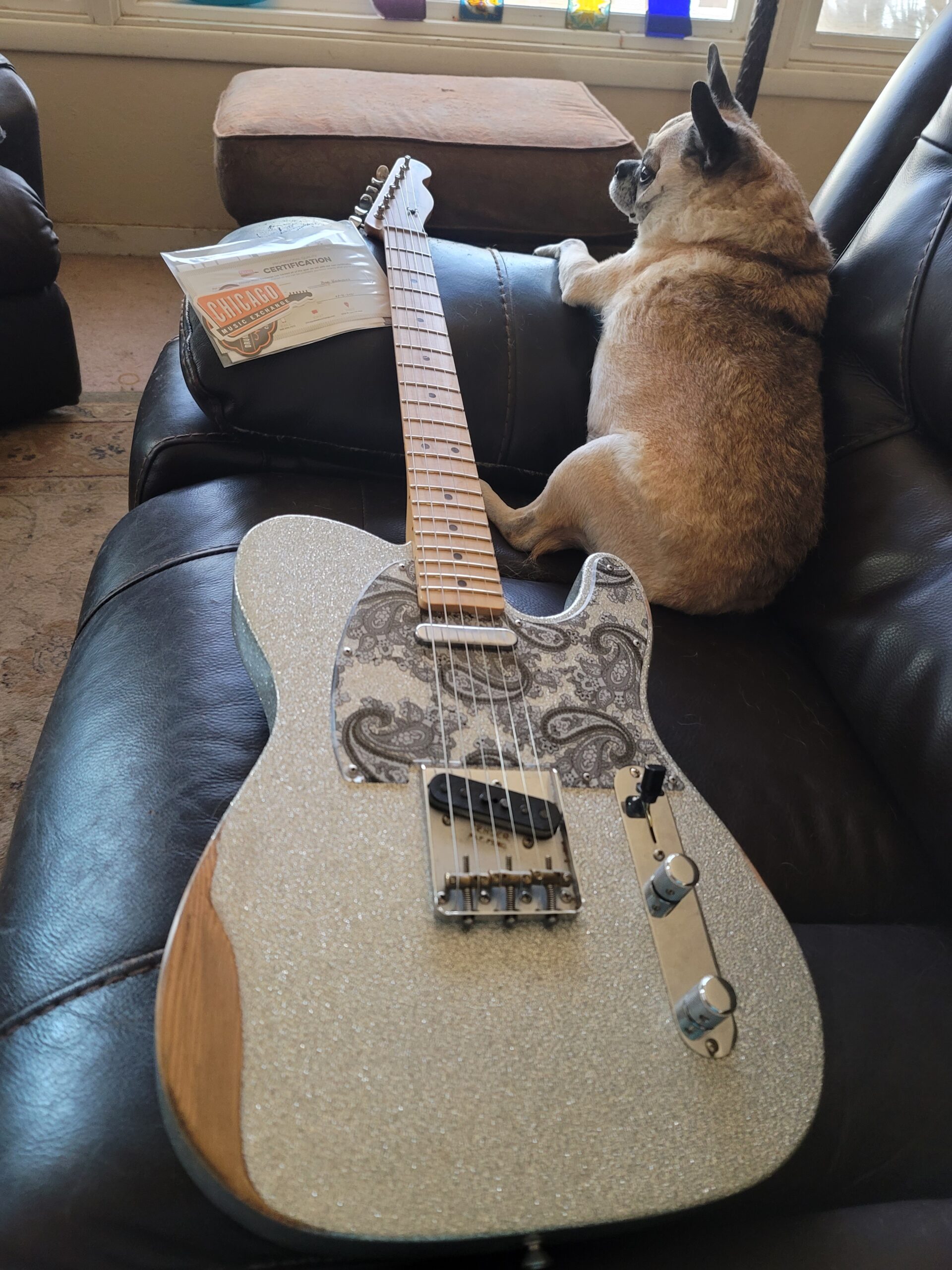 Fender Brad Paisley Road Worn Telecaster Electric Guitar, Silver Sparkle, Maple Fingerboard - Customer Photo 1