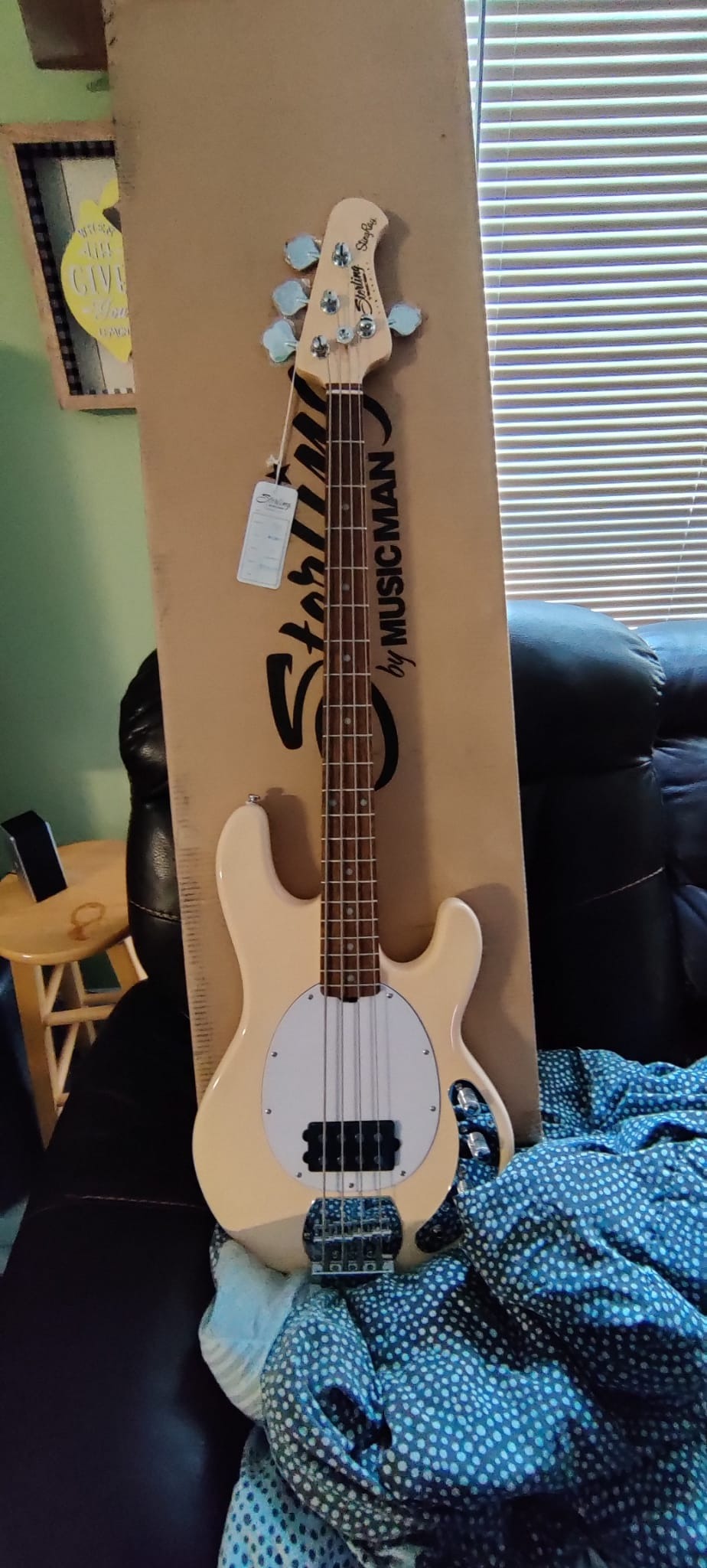 Sterling by Music Man StingRay Ray4 Bass Guitar - Walnut Satin customer photo 1