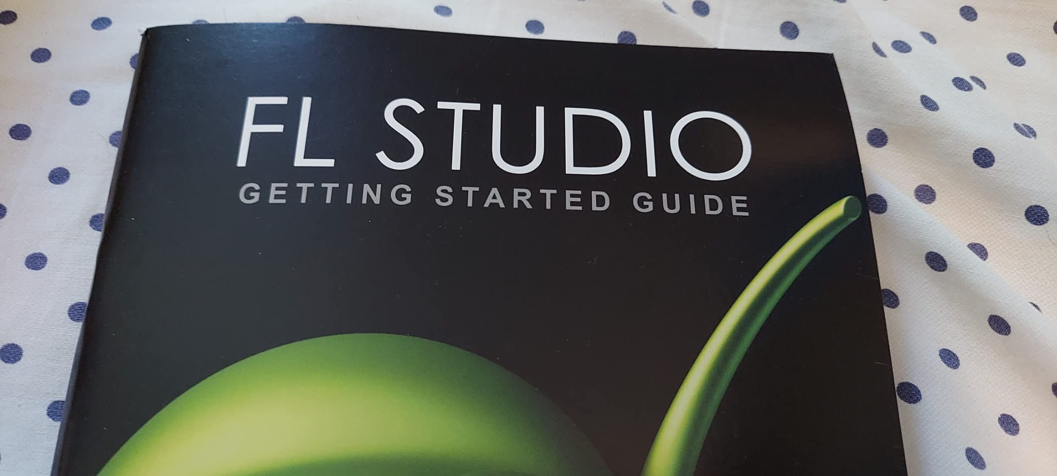 Image Line FL Studio 20 Producer Edition Customer Review Image Line FL Studio 20 Producer Edition - Customer Photo 1