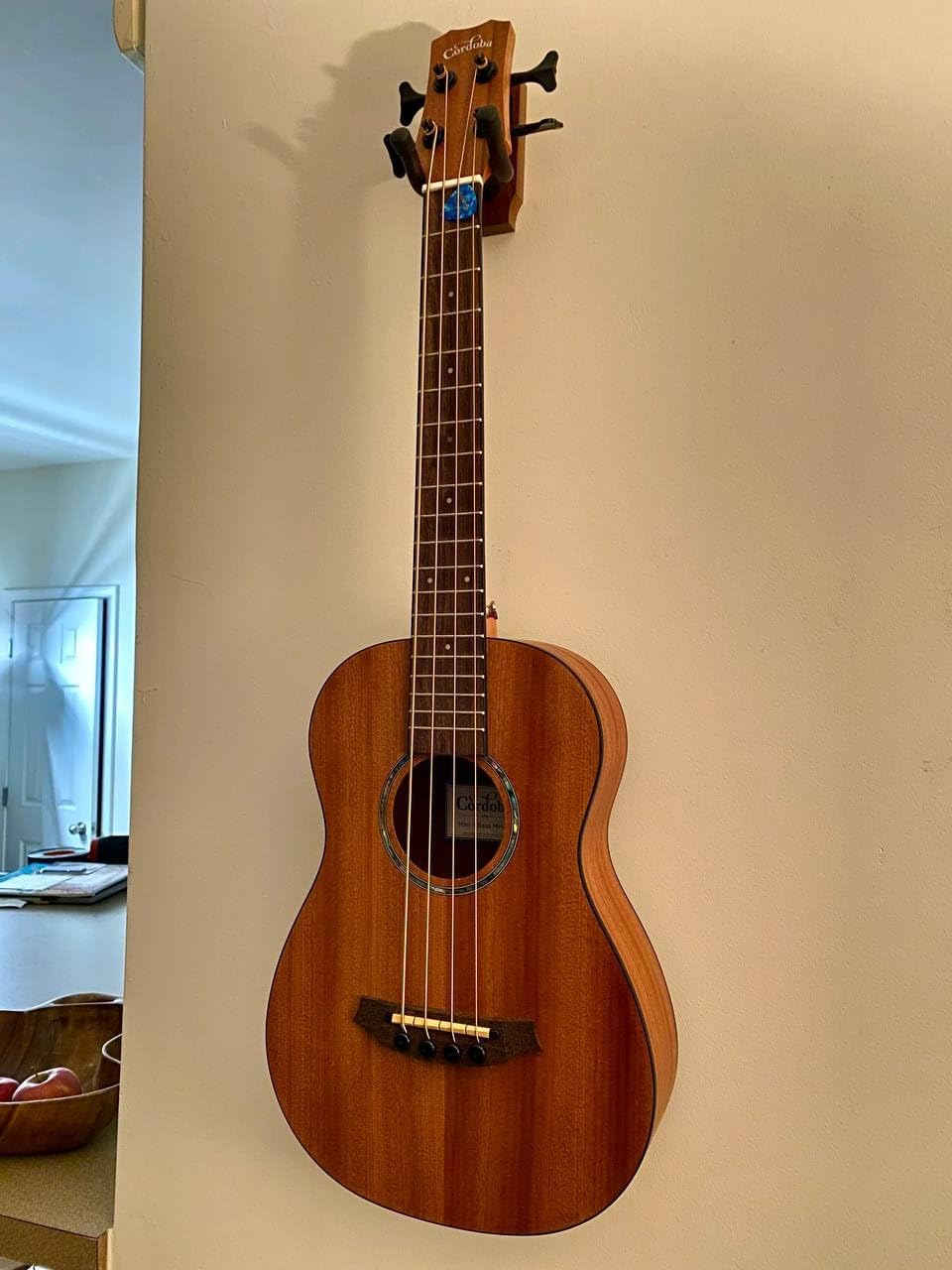Cordoba Mini II Bass MH-E, Mahogany, Small Body, Acoustic-Electric Bass Guitar Customer Review Cordoba Mini II Bass MH-E, Mahogany, Small Body, Acoustic-Electric Bass Guitar - Customer Photo 1