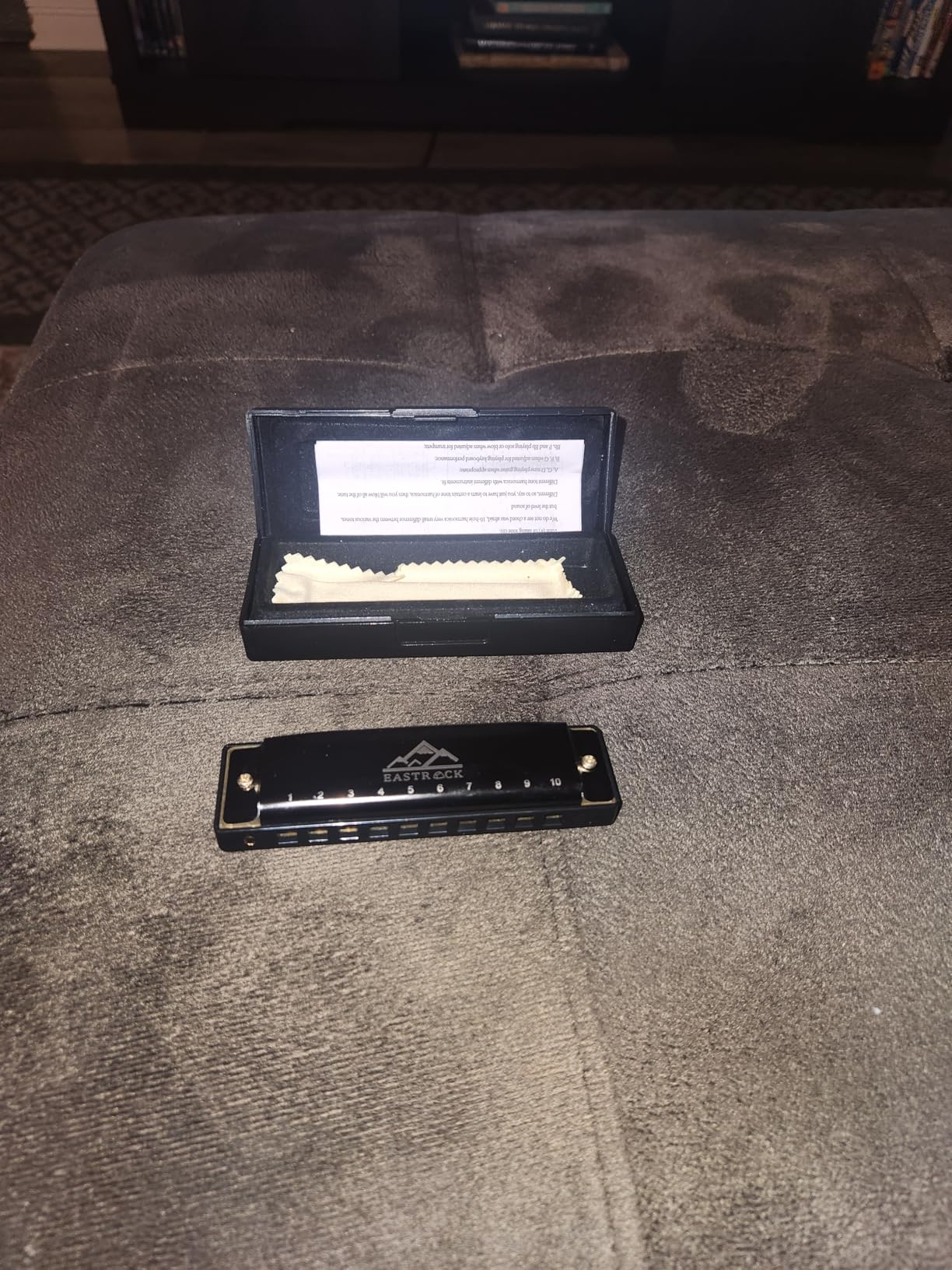 EastRock Blues Harmonica Mouth Organ 10 Hole C Key with Case, Diatonic Harmonica for Professional Player, Beginner, Students customer photo 2