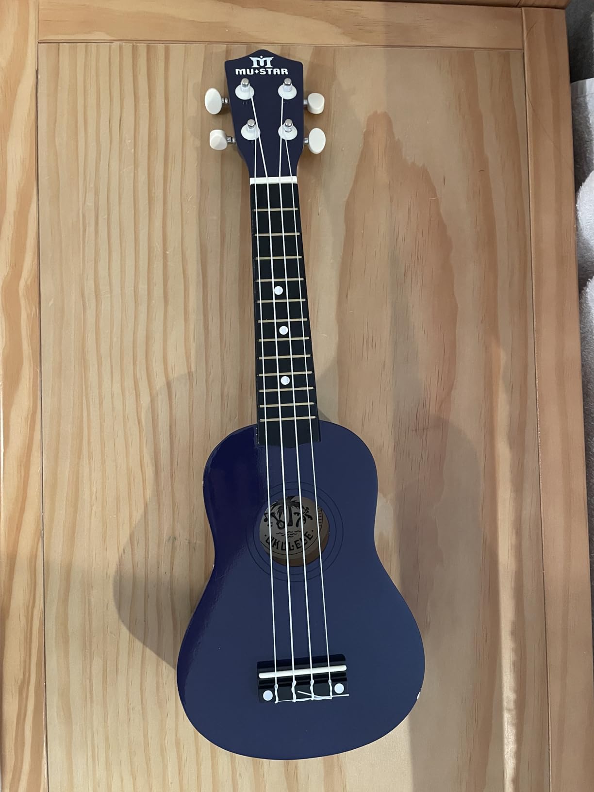 MUSTAR Soprano Ukulele for Beginners - 21 Inch Basswood Ukulele for Kids Birthday Holiday Present, Gig Bag, Digital Tuner, Strap, Picks, All in One Kit, Ukuleles Starter Kit Customer Review MUSTAR Soprano Ukulele for Beginners - 21 Inch Basswood Ukulele for Kids Birthday Holiday Present, Gig Bag, Digital Tuner, Strap, Picks, All in One Kit, Ukuleles Starter Kit - Customer Photo 2