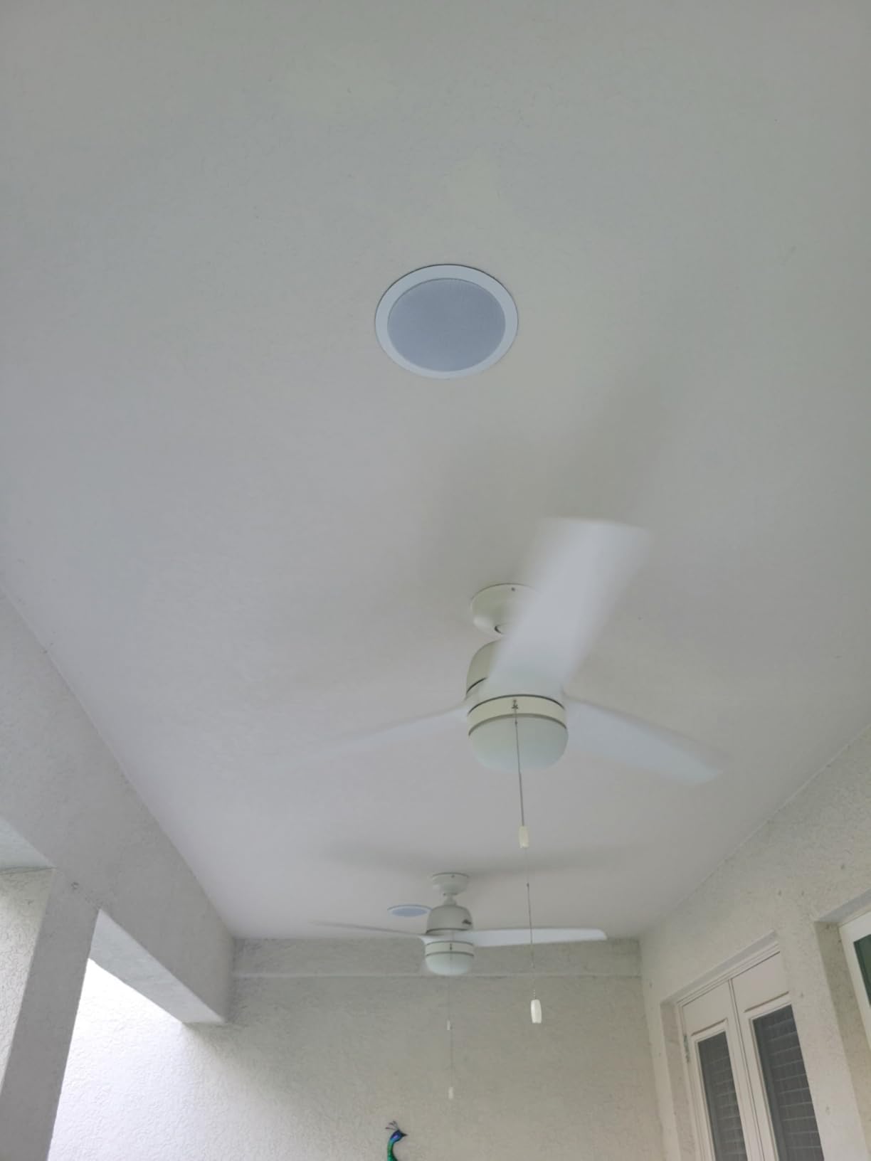 Herdio 5.25 Inch Bluetooth Ceiling Speakers Home Recessed Speaker System 300 Watts Suitable for Humid,Kitchen,Bedroom,Bathroom,Covered Patio (A Pair) Customer Review Herdio 5.25 Inch Bluetooth Ceiling Speakers Home Recessed Speaker System 300 Watts Suitable for Humid,Kitchen,Bedroom,Bathroom,Covered Patio (A Pair) - Customer Photo 1