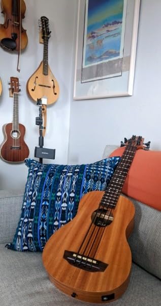 Nomad Acoustic-Electric U•BASS® Customer Review Nomad Acoustic-Electric U•BASS® - Customer Photo 1