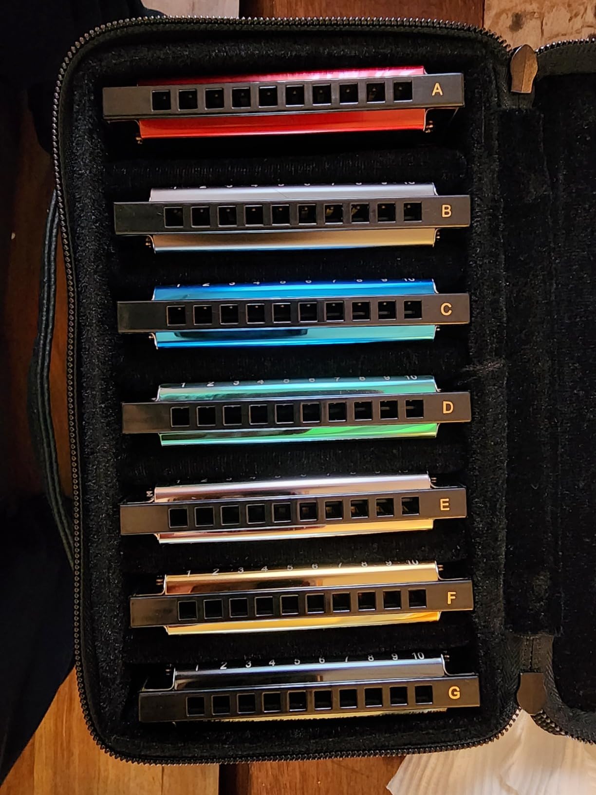East top Deluxe Blues Harmonica C Key with Case for Adults,Beginner,grey customer photo 2