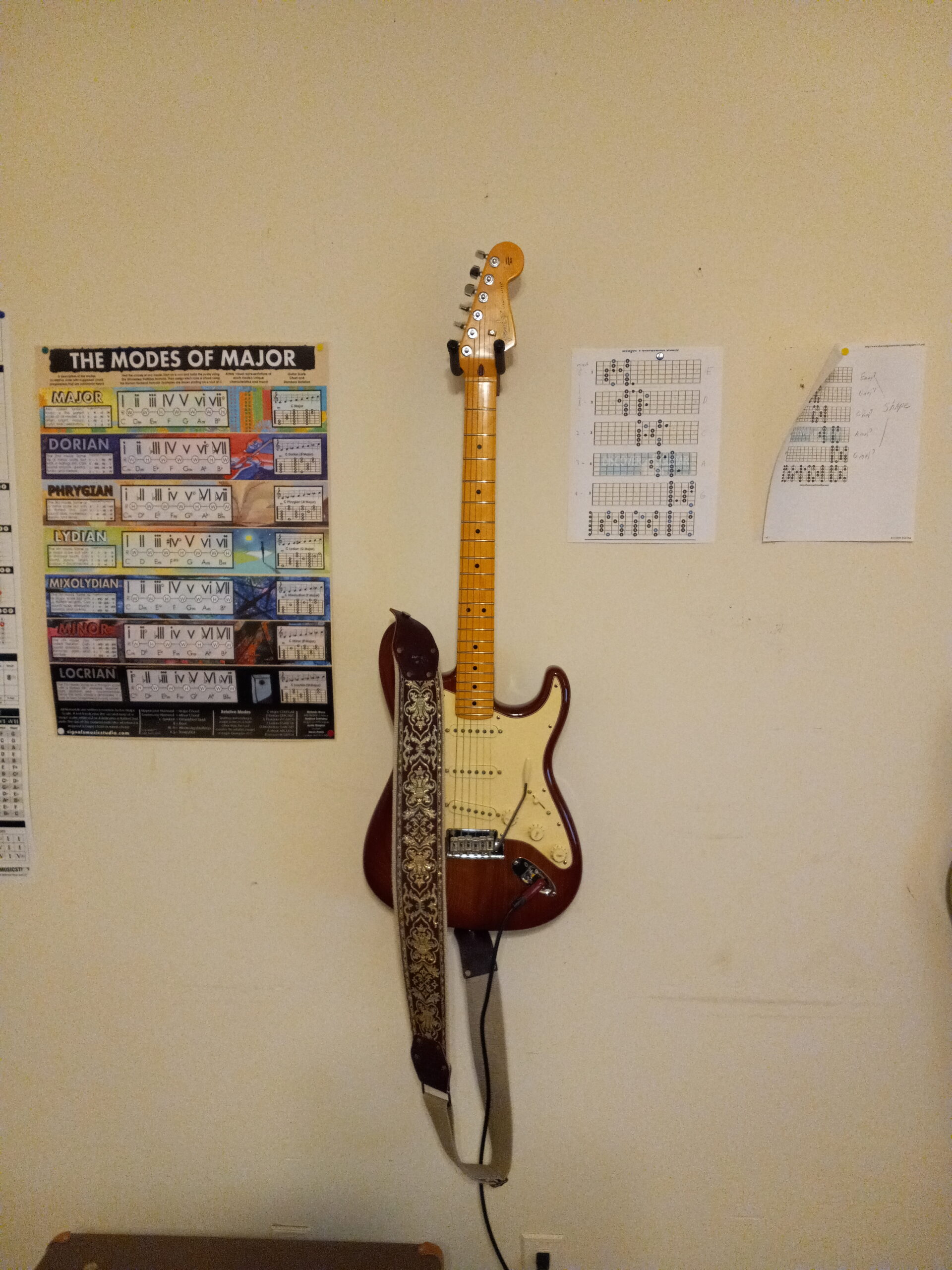 Fender American Professional II Stratocaster - Sienna Sunburst with Maple Fingerboard Customer Review Fender American Professional II Stratocaster - Sienna Sunburst with Maple Fingerboard - Customer Photo 2