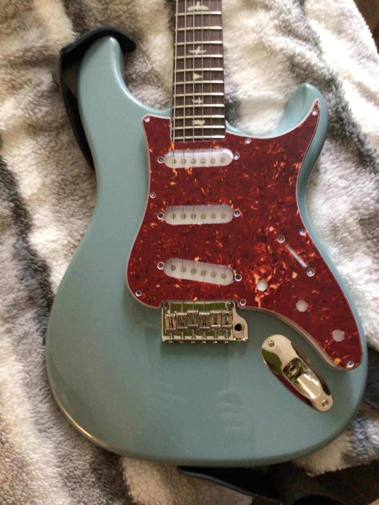 Paul Reed Smith 6 String SE Silver Sky Stone, Blue with Gigbag, Right Handed Customer Review Paul Reed Smith 6 String SE Silver Sky Stone, Blue with Gigbag, Right Handed - Customer Photo 1
