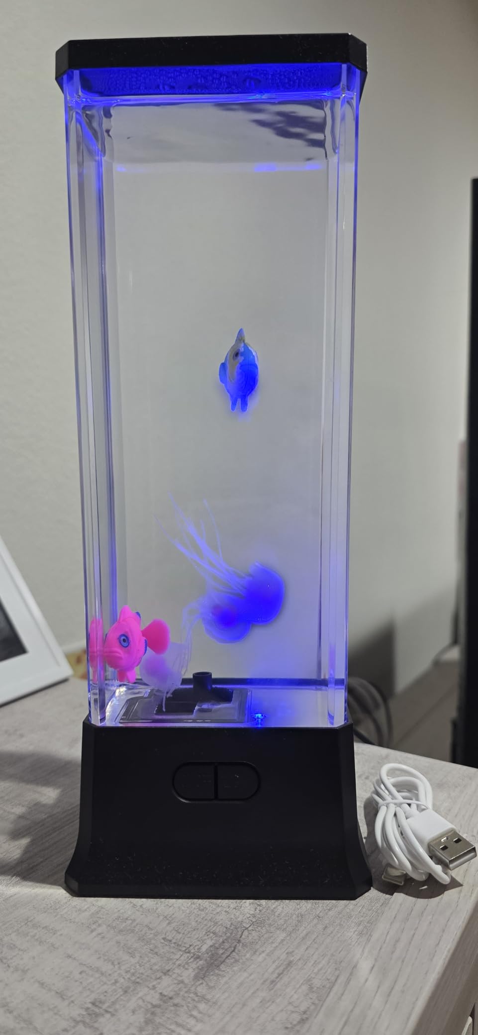 COLORLIFE Cool Electric Jellyfish Lamp with Bluetooth Speaker Music Gift for Boys Girls Adults Aquarium Tank Sensory Mood Night Light for Decorate Relax - Customer Photo 1