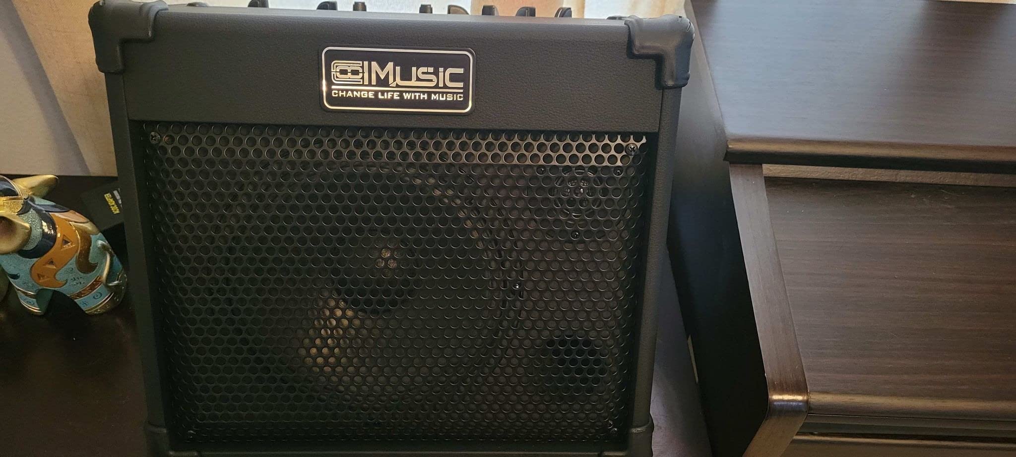 Coolmusic 40W Portable Acoustic Guitar Amplifier with Bluetooth, 3-Year Warranty, Rechargeable Battery Customer Review Coolmusic 40W Portable Acoustic Guitar Amplifier with Bluetooth, 3-Year Warranty, Rechargeable Battery - Customer Photo 2