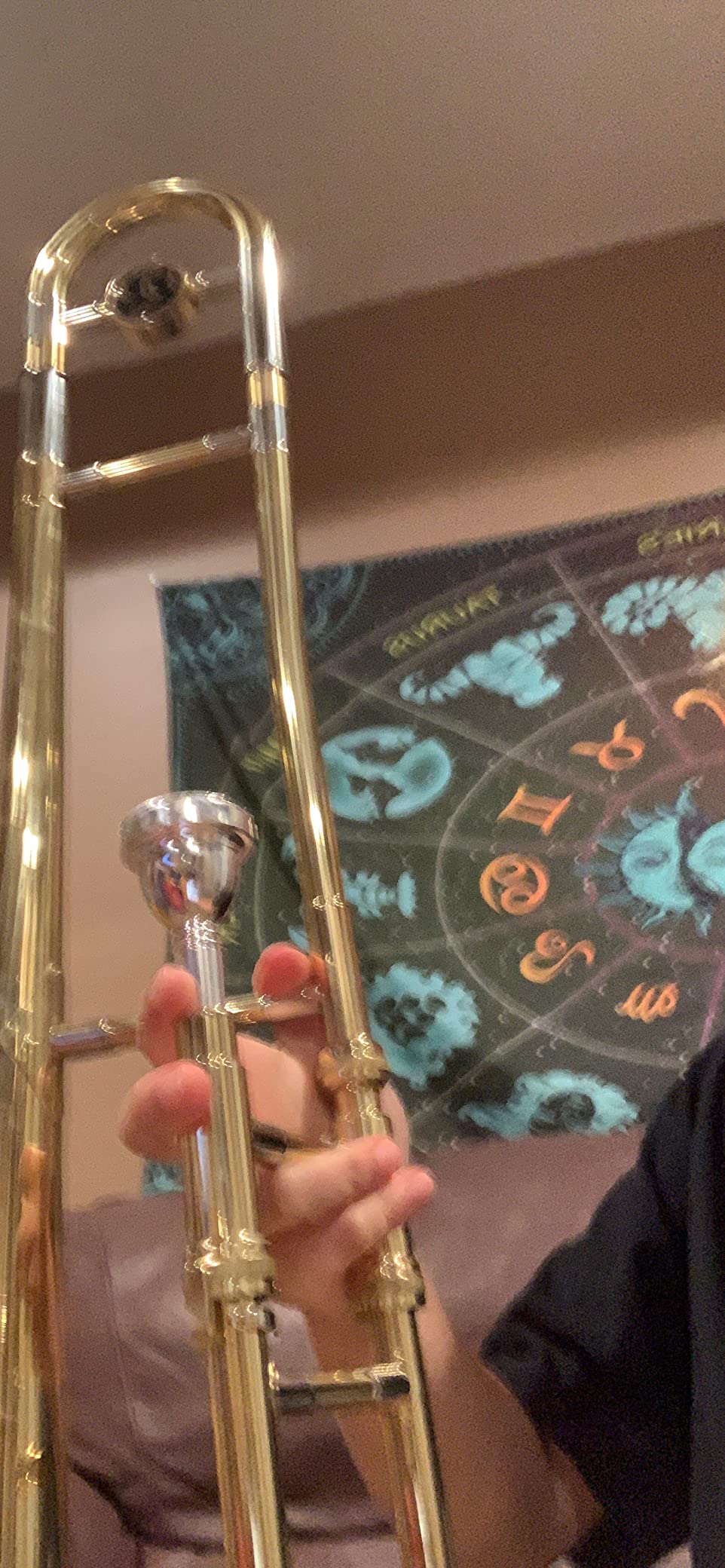 Silver Alto Trombone Brass Bb Tone B Flat Wind Instrument with Cupronickel Mouthpiece Cleaning Stick Case Customer Review Silver Alto Trombone Brass Bb Tone B Flat Wind Instrument with Cupronickel Mouthpiece Cleaning Stick Case - Customer Photo 3