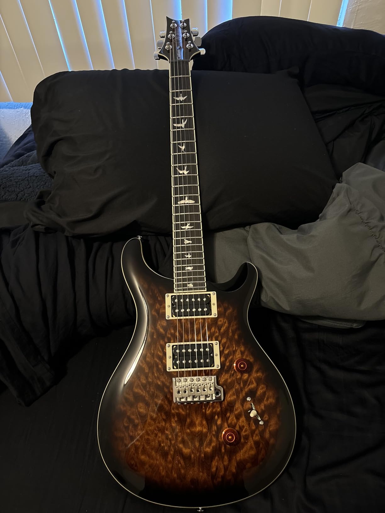 PRS Guitars 6 String SE Custom 24 Quilt Electric Guitar, Black Gold Sunburst with Gigbag, Right Customer Review PRS Guitars 6 String SE Custom 24 Quilt Electric Guitar, Black Gold Sunburst with Gigbag, Right - Customer Photo 1