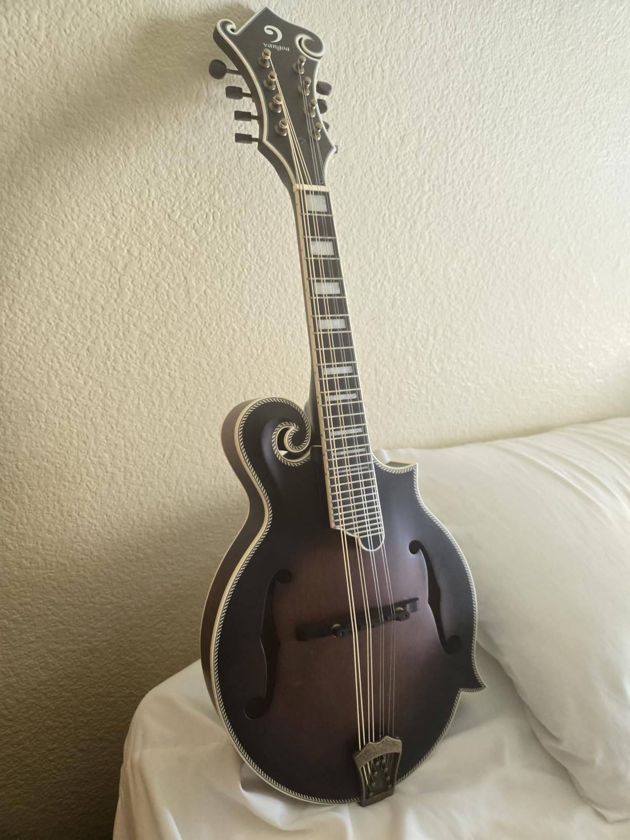 Vangoa F-Style Mandolins Instrument 29-Fret, 8 String Acoustic Mandolin With Protective Plate, for Beginner Adults, Sunburst - Customer Photo 1