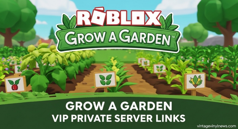 Roblox Private Server Links