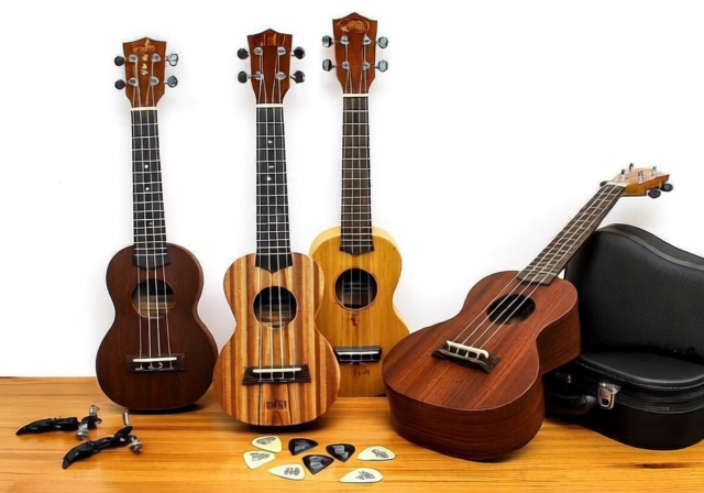 Best Soprano Ukuleles [cy]: 8 Models Tested & Reviewed - VintageVinylNews