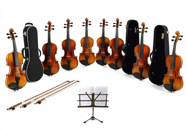 Best Violins For Beginners [cy]: 10 Quality Student Models Reviewed - VintageVinylNews