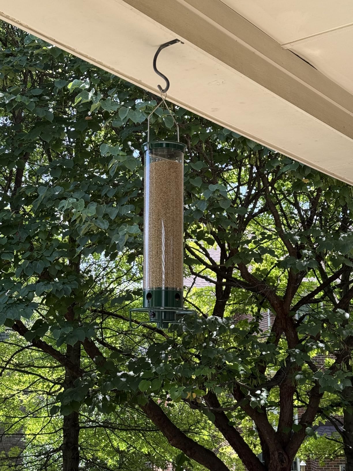 Droll Yankees Squirrel Proof Bird Feeders for Outdoors - YF-M - Flipper, Collapsible Perches, 5-Pound Seed Capacity, Green - Customer Photo 2