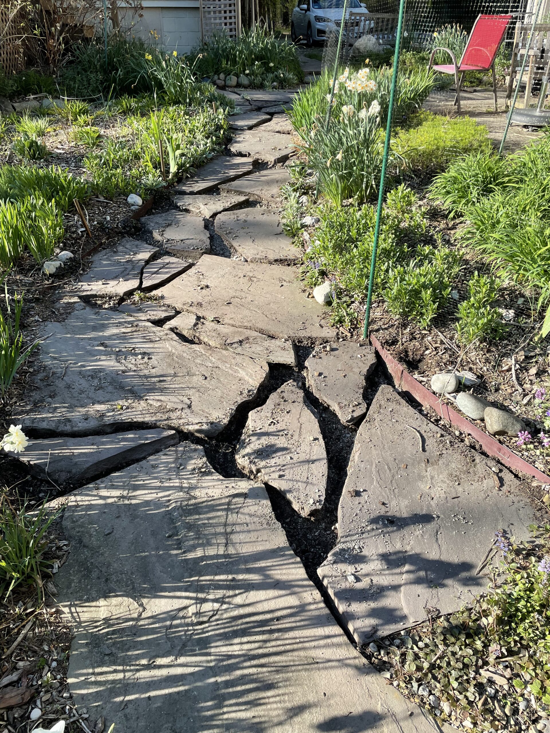 Wilcox All-Pro Garden Tools 202S 14 inch All-Pro Trowel for Gardening - Customer Photo 1