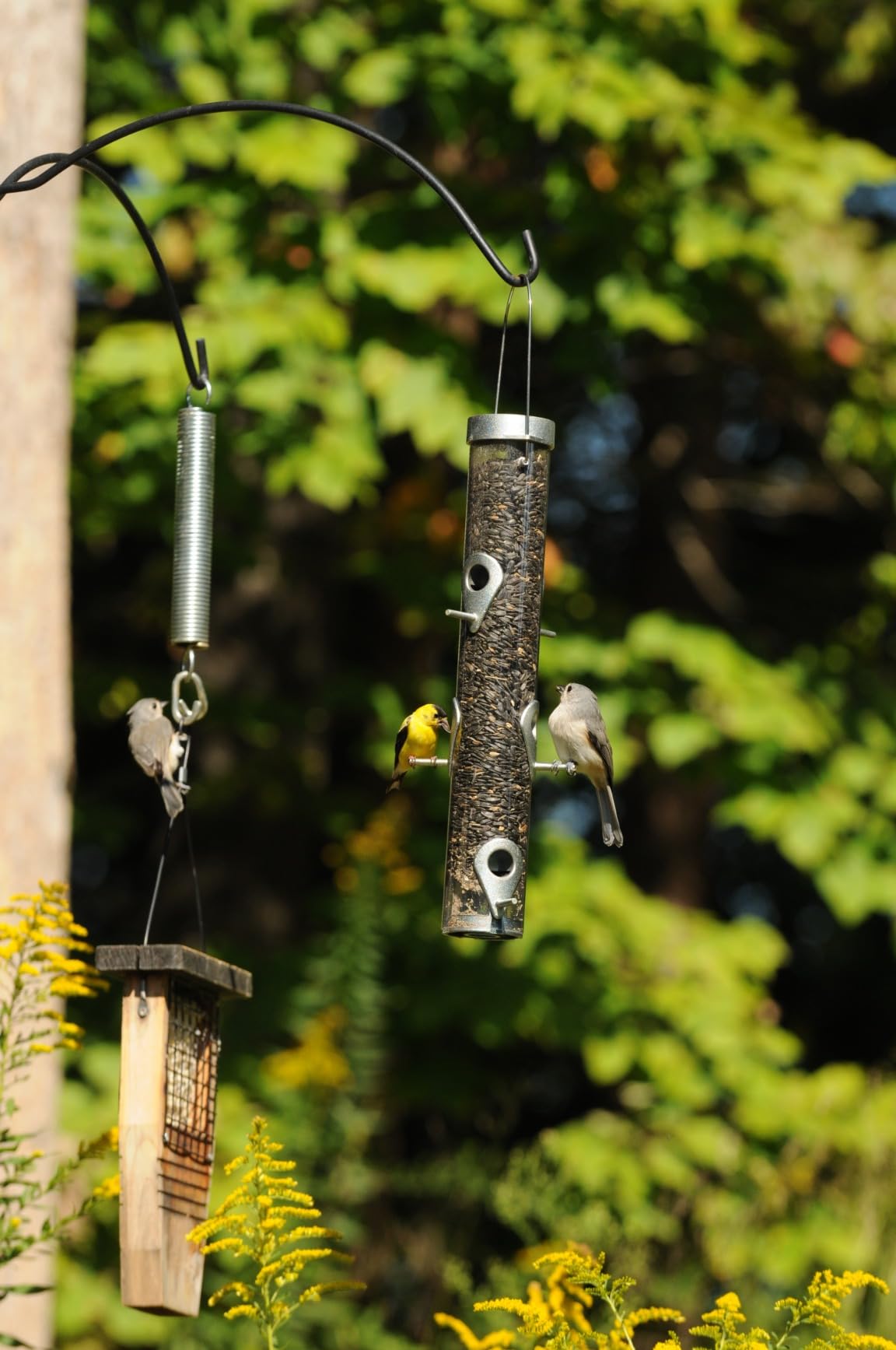 Droll Yankees Classic Sunflower or Mixed Seed Bird Feeder, Ring Pull Advantage, 6 Feeding Stations, 1 lb Bird Seed Capacity, 20-Inch - Customer Photo 2