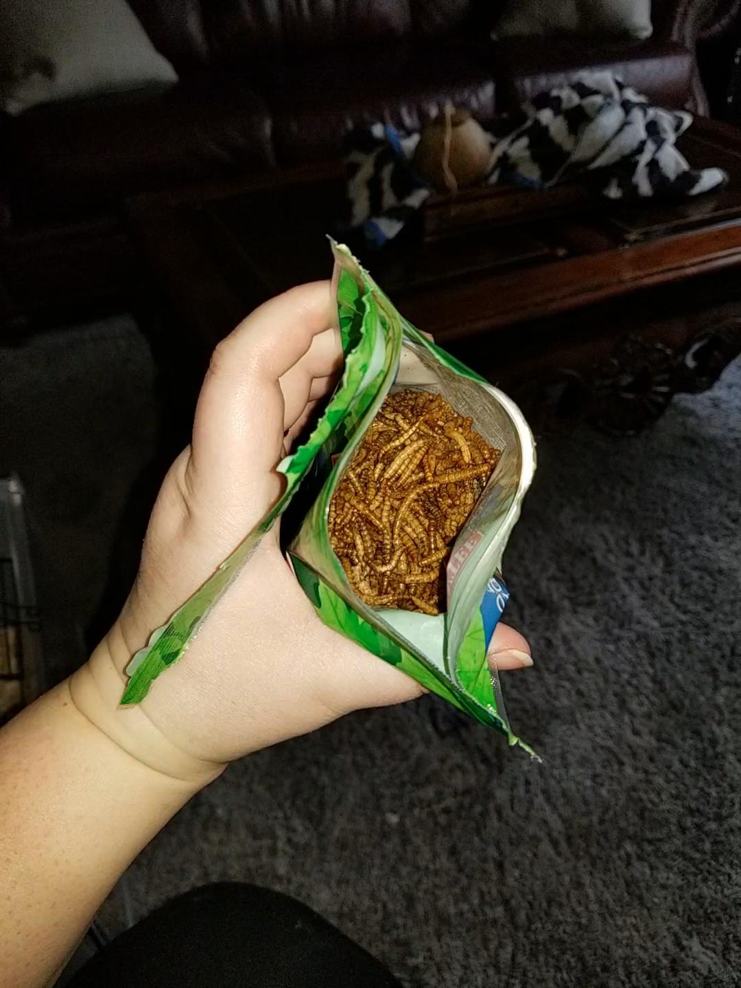 Kaytee Wild Bird Food Mealworms For Bluebirds, Wrens, Robins, Chickadees, Woodpeckers, Cardinals & Chickens, 3.5 Ounce Customer Review Kaytee Wild Bird Food Mealworms For Bluebirds, Wrens, Robins, Chickadees, Woodpeckers, Cardinals & Chickens, 3.5 Ounce - Customer Photo 1