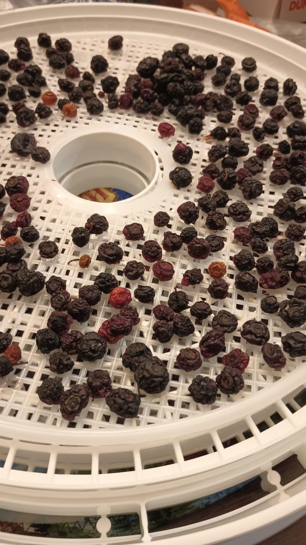 Presto 06300 Dehydro Electric Food Dehydrator, Standard - Customer Photo 1