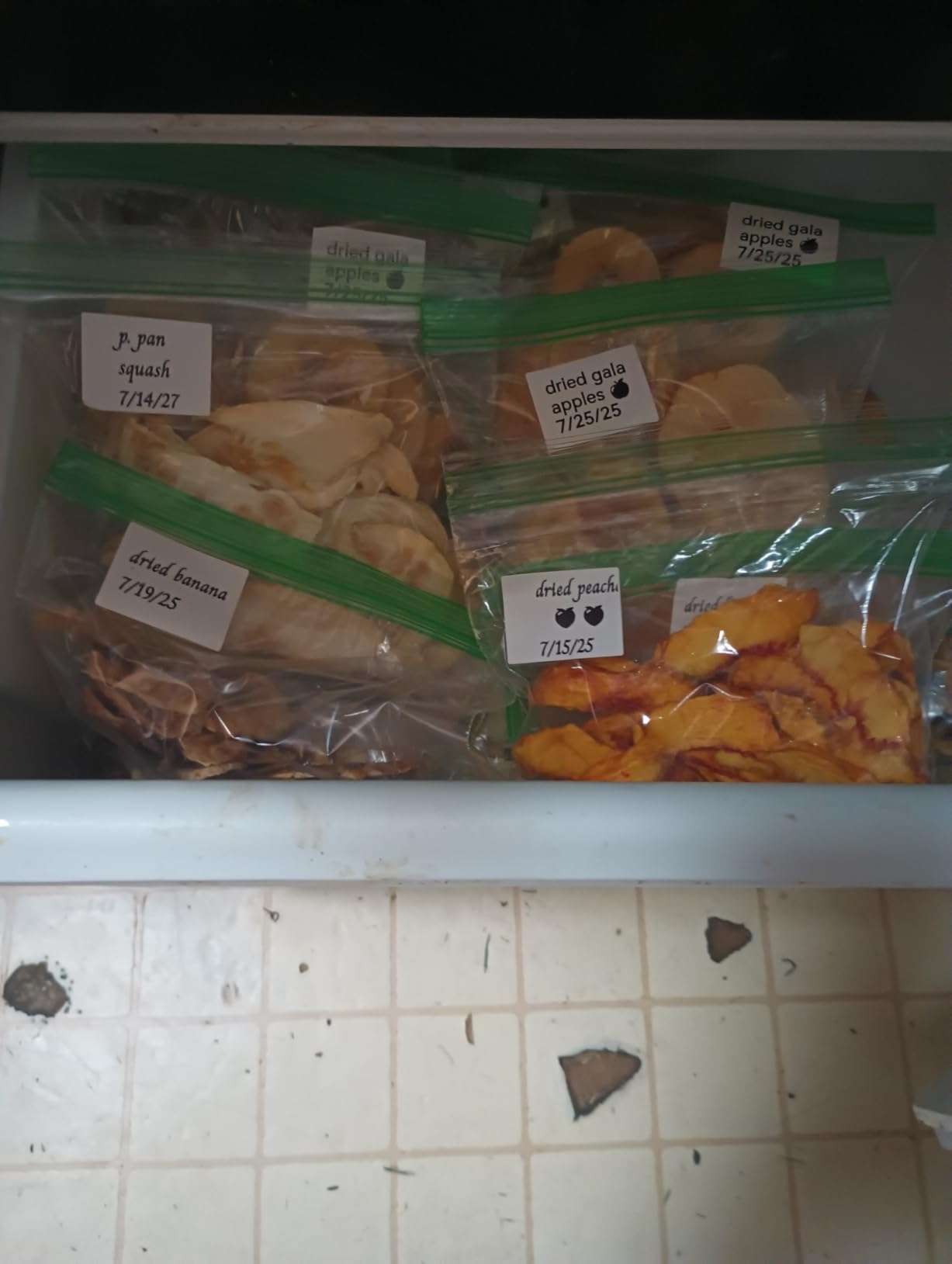 Presto 06300 Dehydro Electric Food Dehydrator, Standard - Customer Photo 2