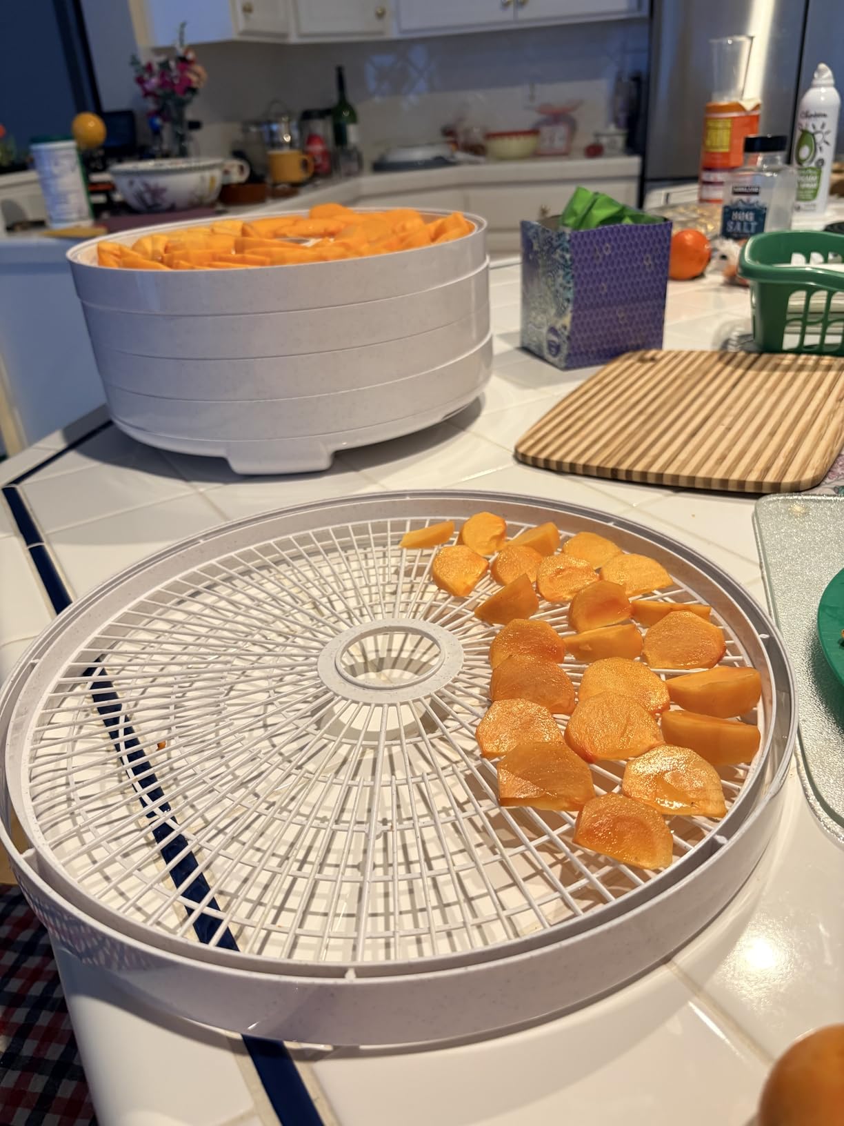 NESCO FD-75A Snackmaster Pro Food Dehydrator, For Snacks, Fruit, Beef Jerky, Gray - Customer Photo 1