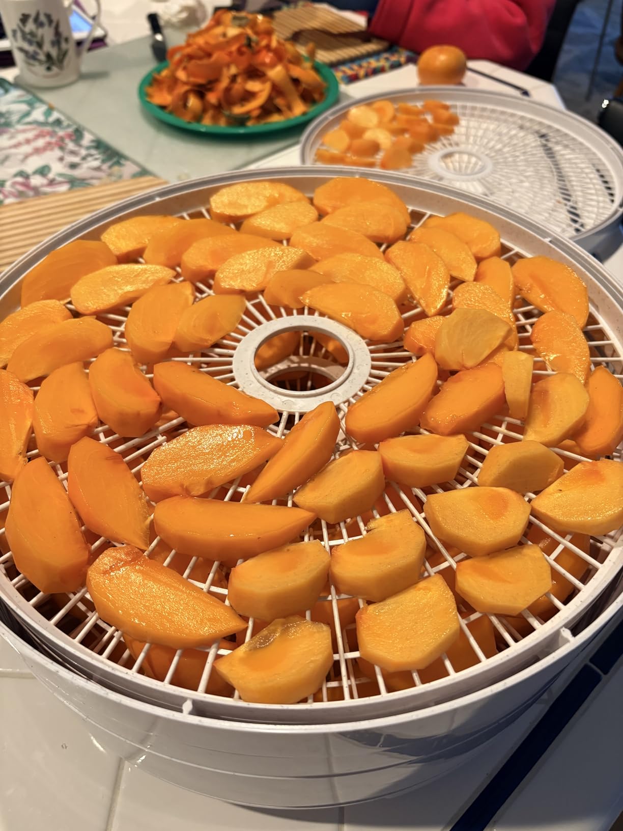 NESCO FD-75A Snackmaster Pro Food Dehydrator, For Snacks, Fruit, Beef Jerky, Gray - Customer Photo 2