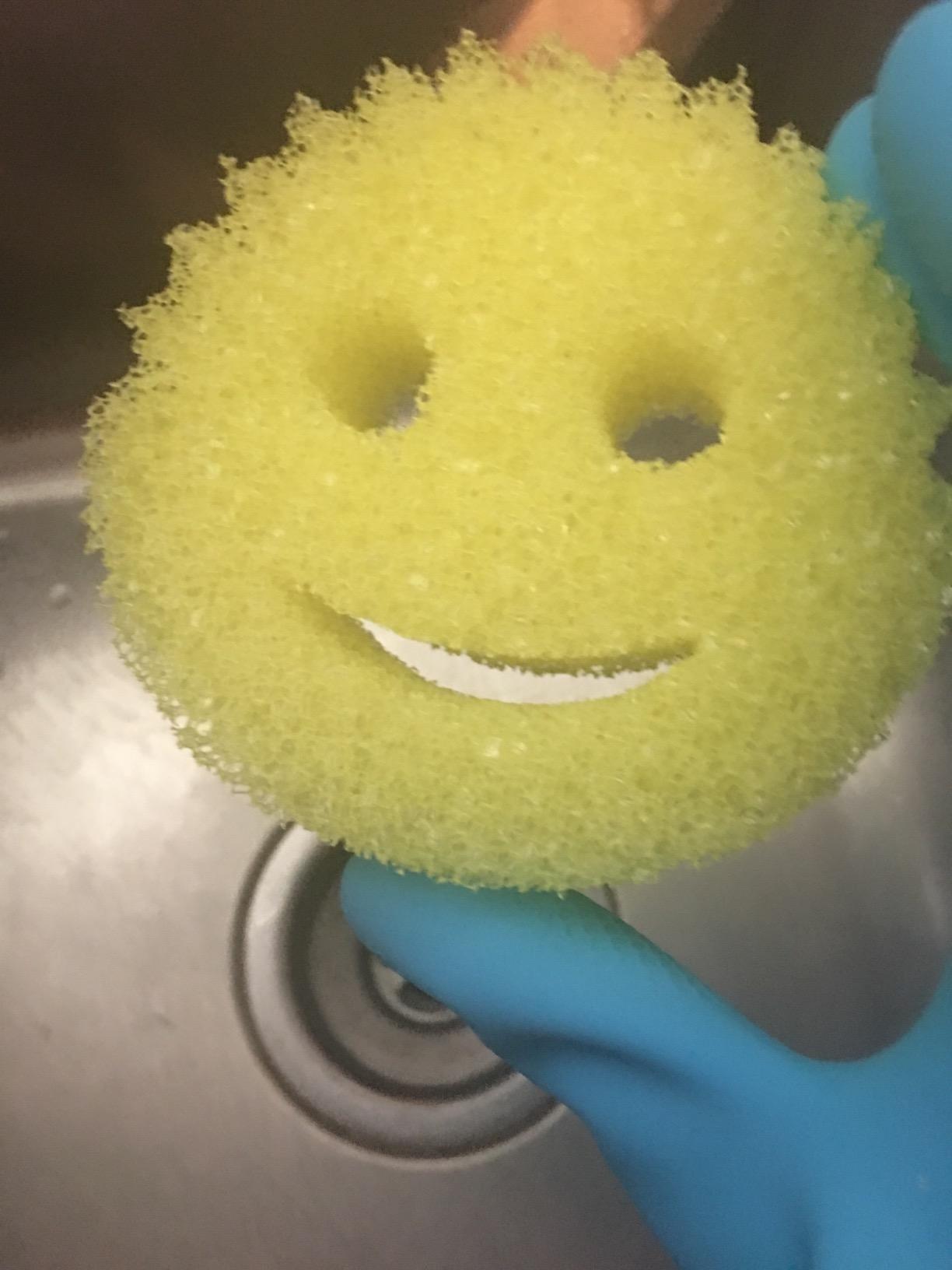Scrub Daddy Cleaning Sponge - Pack of 4 - Customer Photo 1