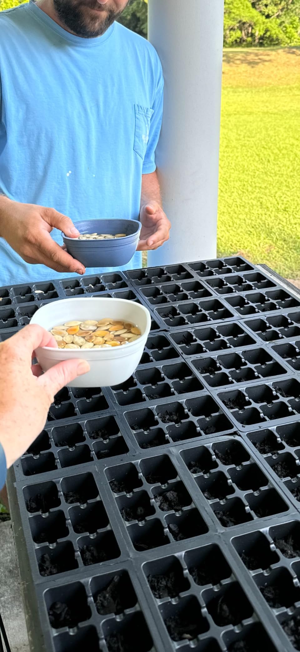1440 Cells Seedling Starter Trays for Seed Germination +10 Plant Labels (240, 6-Cell Trays) - Customer Photo 1