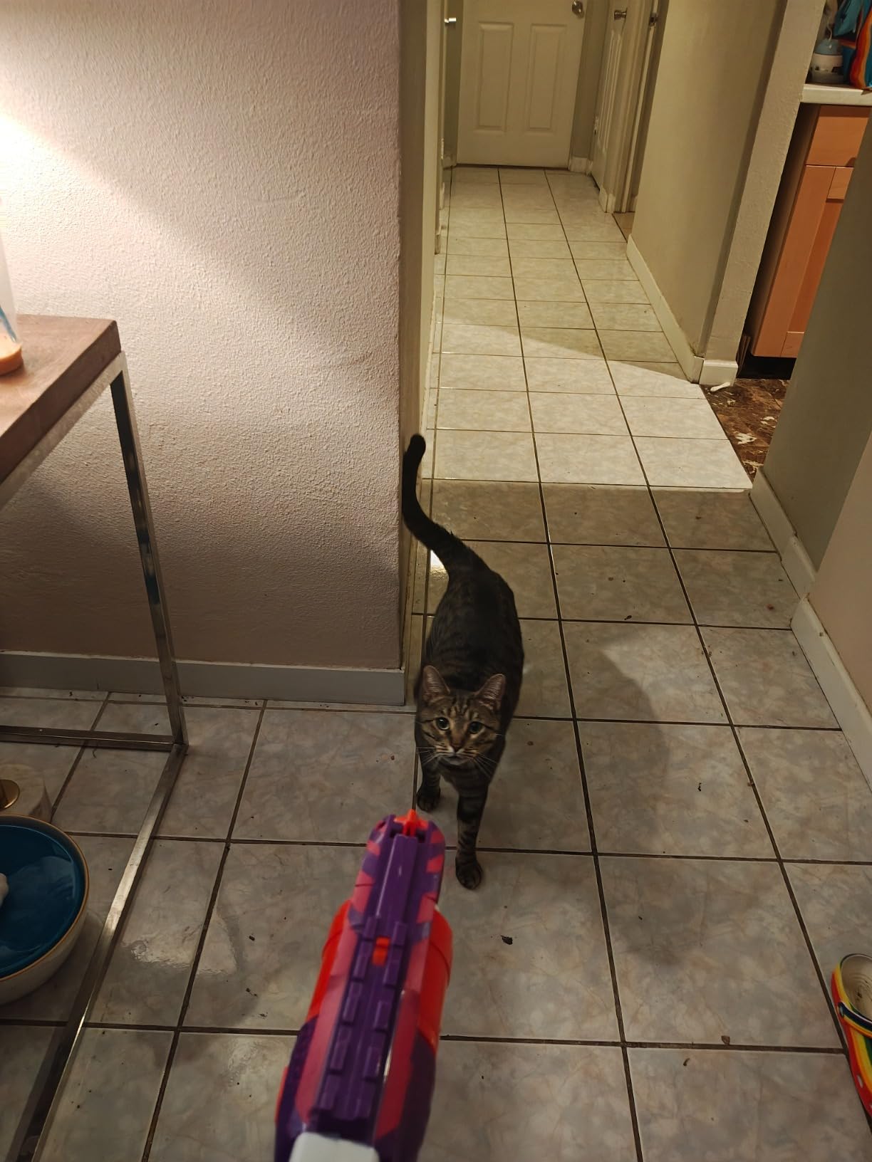 NERF N Strike Elite Strongarm Toy Blaster with Rotating Barrel (Amazon Exclusive) Customer Review NERF N Strike Elite Strongarm Toy Blaster with Rotating Barrel (Amazon Exclusive) - Customer Photo 2